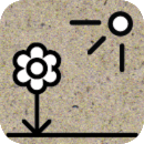 Silphie Ilustración Planta y Sol