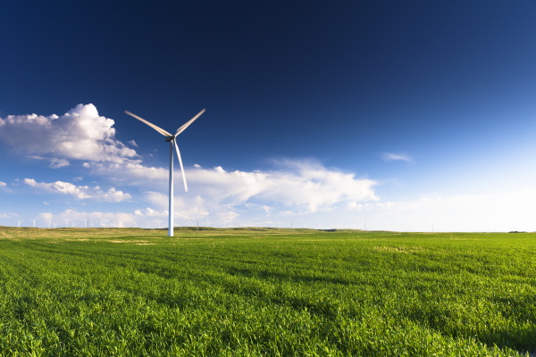 Pradera con un aerogenerador al fondo