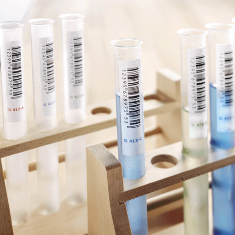 Reagenzgläser mit verschiedenen Flüssigkeiten in einem Holzständer, einige mit Barcode-Etiketten.