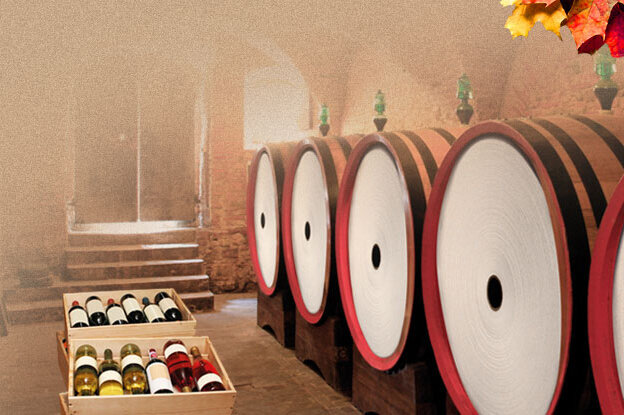 Weinkeller mit Weinfässer