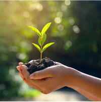 The translation of "Pflanze in Hand Kachel" to Spanish is "Planta en mano azulejo." 

However, if this phrase is meant to convey a specific context or idiomatic expression, please provide more details for a more accurate translation.